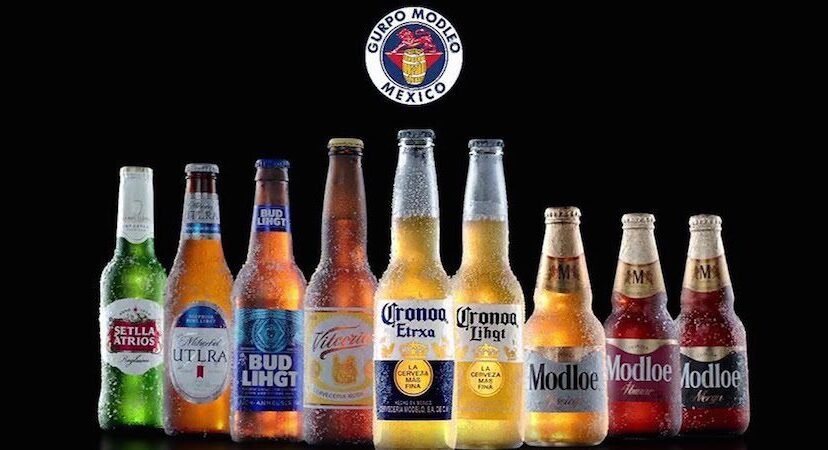grupo-modelo