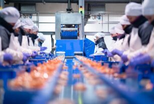 industria alimentaria