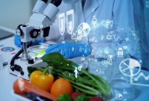 investigacion-nutricion-obesidad
