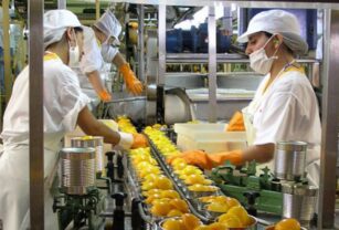 mujeres-en-la-indsutria-alimentaria