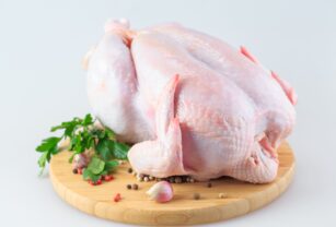 proteína-animal
