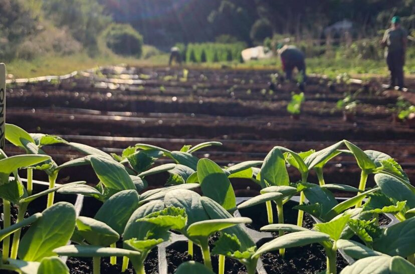 Agroecología-principal