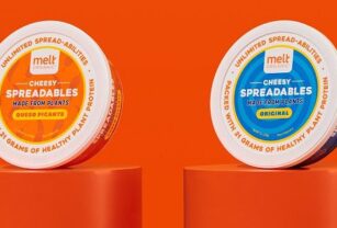 Cheesy Spreadables-principal