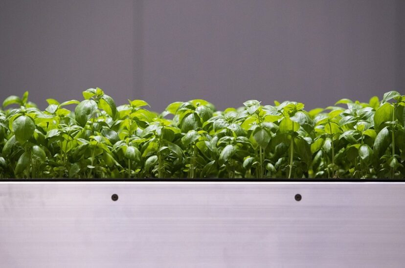 Future Crops New Investment Round
