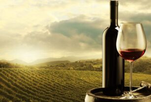día-del-malbec
