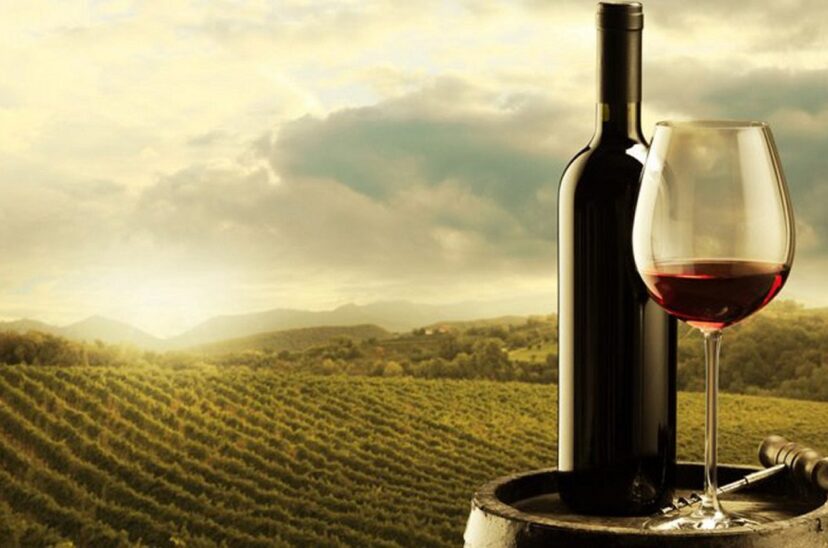 día-del-malbec
