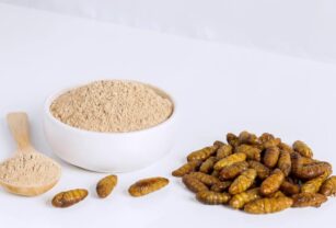 ingredientes-alimentarios-insectos