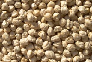 Garbanzo