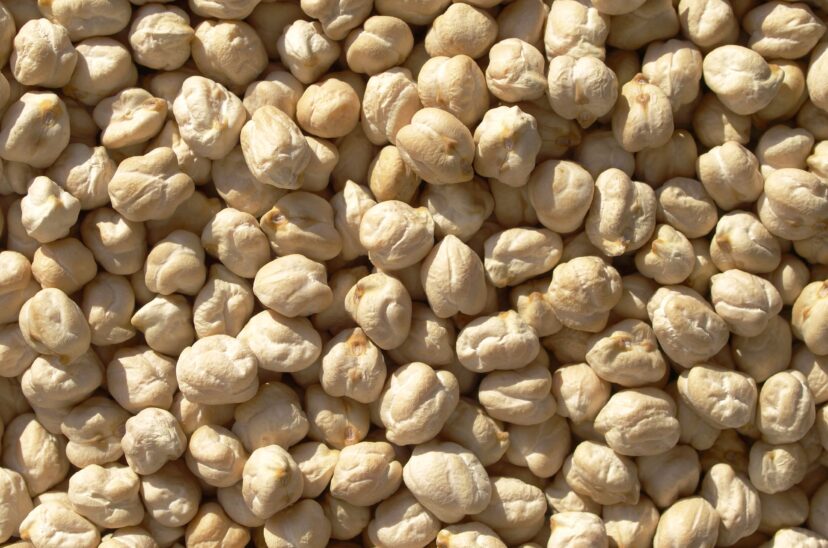 Garbanzo