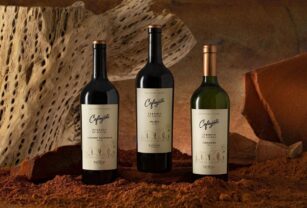 Vinos Cafayate Terroir de alruta de bodegas Etchart