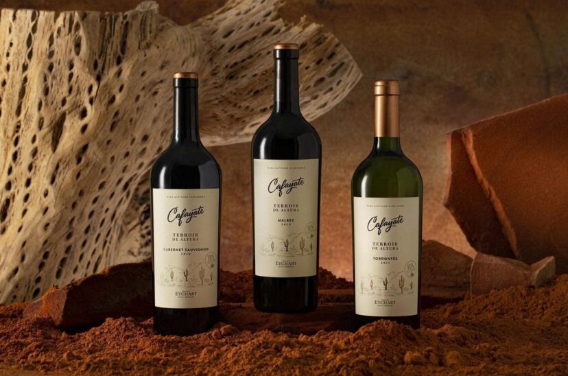 Vinos Cafayate Terroir de alruta de bodegas Etchart