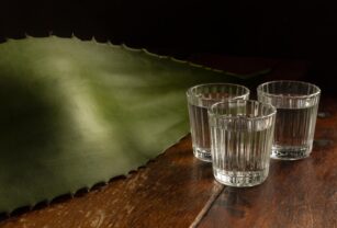 cultivo-agave