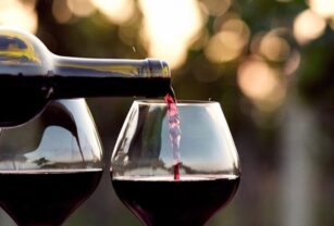 vinos argentinos