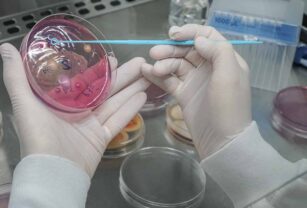 Herramientas con potencial antimicrobianos