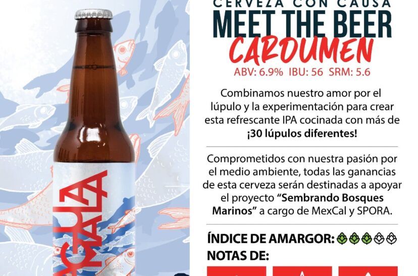 cerveza-Cardumen