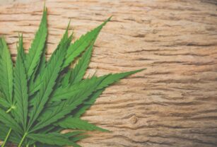 consumo-CBD