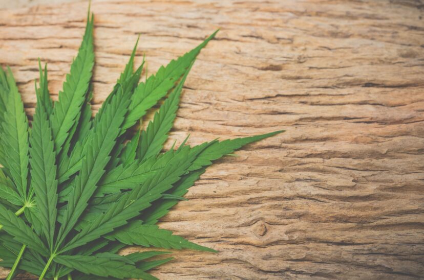 consumo-CBD