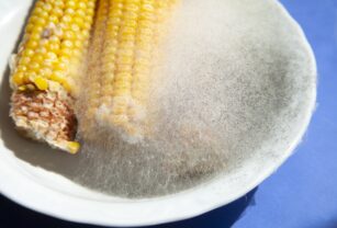 contaminantes