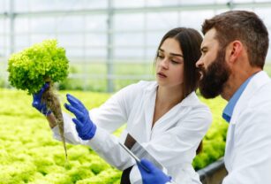 inocuidad-los-alimentos-principal