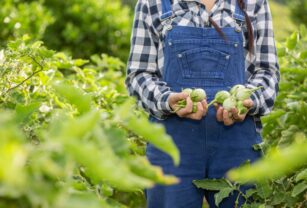 Productos-agrícolas