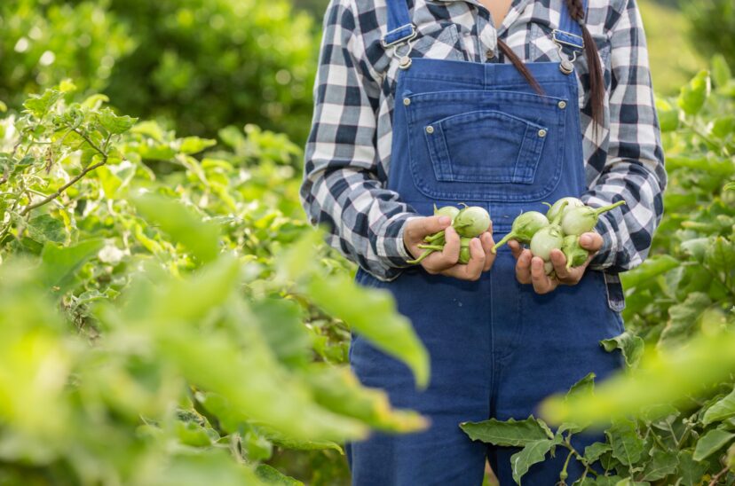 Productos-agrícolas