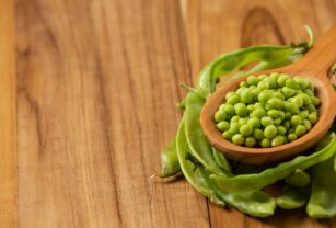 alternativa-plant-based