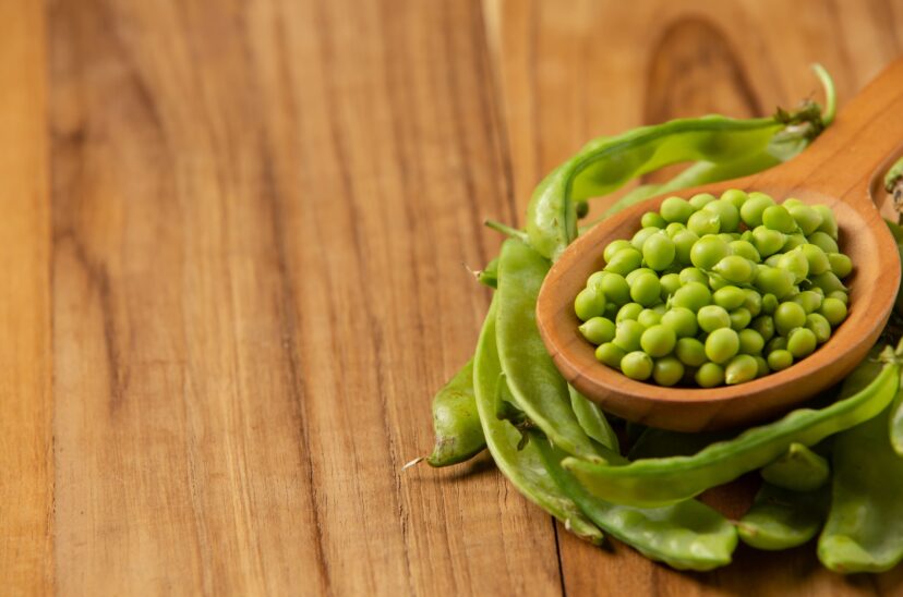 alternativa-plant-based