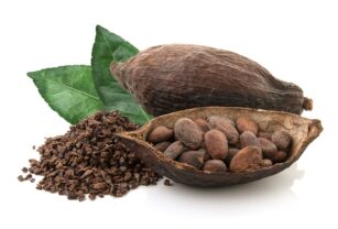 Cacao