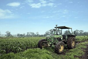agroindustria