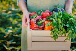 alimentos-sostenibles
