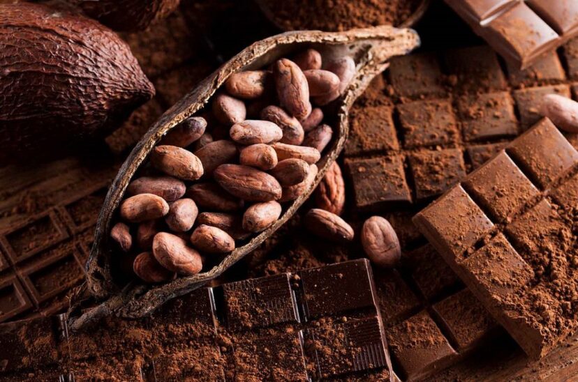 cacao-chocolate