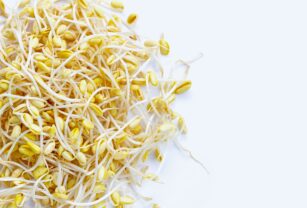 germinado-de-soya