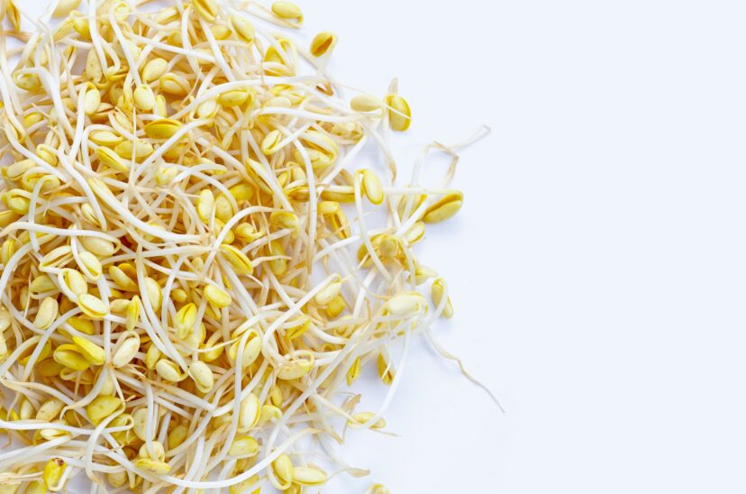 germinado-de-soya