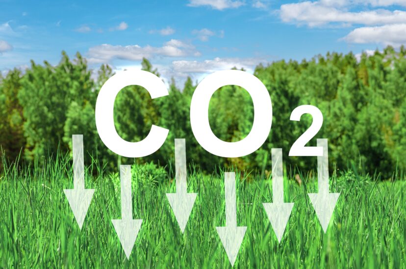 reducción-de-carbono