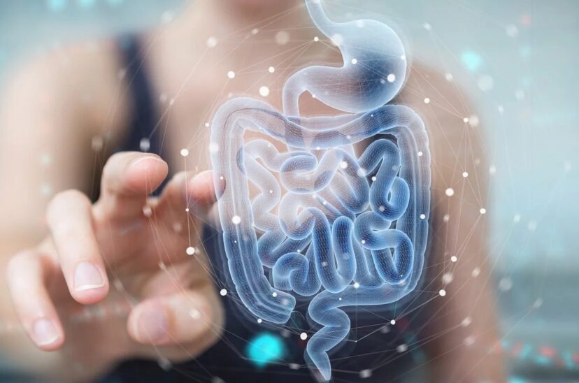 microbioma-intestinal