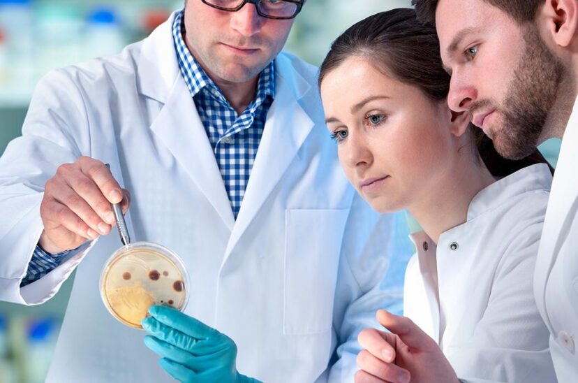 investigadores-de-probióticos