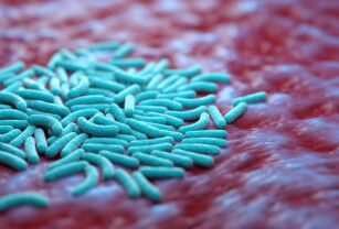 salmonella