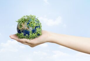 sostenibilidad-ambiental