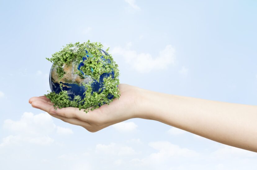 sostenibilidad-ambiental