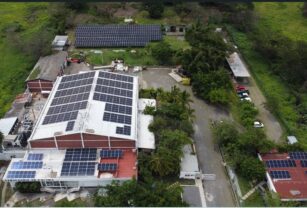 Cerveceriadecolima-sustentable