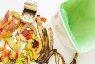 Desperdicio de alimentos