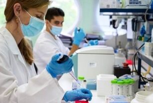Detectan bacterias arcobacter en alimentos