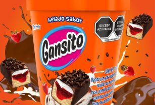 Helado Gansito 1