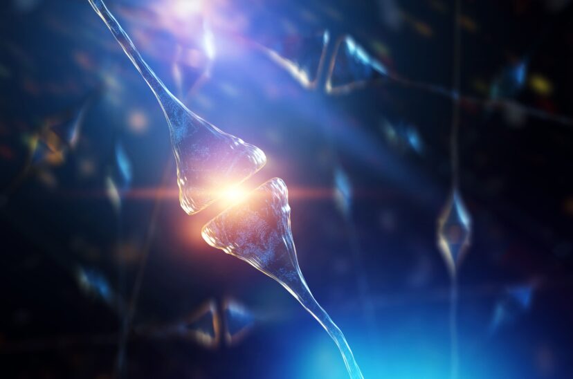 Neuronas