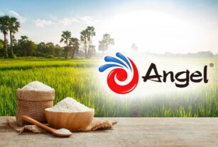 Novedad-Angel-yeast