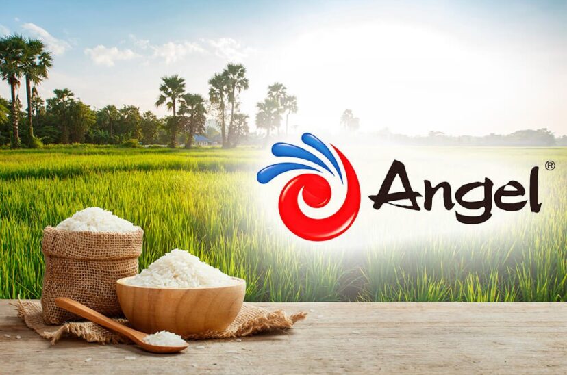 Novedad-Angel-yeast