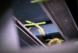 Sustainabilty_1