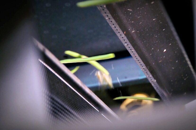 Sustainabilty_1