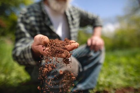 Suelos-agrícolas