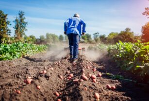 agricultura